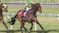 Our Bottino Bounces Back