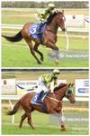 Stable Double At Hamilton