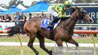 Red Mary Breaks Maiden