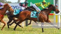 Red Sensation Wins At St Arnaud