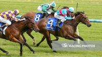 Manhattan Finds Winning Spirit