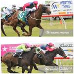 Owners Lucky Day With Double At Mortlake
