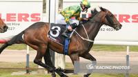 Horsham Cup For Our Bottino