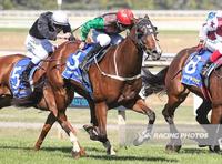 Bernie Leaves No Regret's In Ballarat Maiden Victory