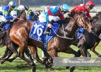 May Carnival Success With Manhattan Spirit
