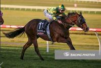 Paremuus Boy Steps Up To Mid Week City Win