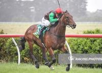 Talkémaround Goes One Better In Terang