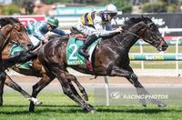 Harbour Has $500K Prize In His View