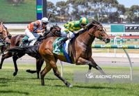 Confusion Kicks Off New Year With A Win