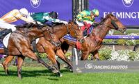 Another Flemington Win For Kuramae