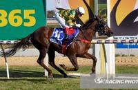 Intellective Too Strong In Swan Hill
