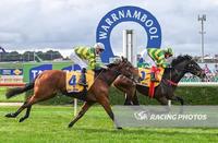 Stable Quinella With Debutante's At The Bool