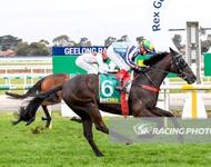 Veteran Galloper Back In Winners Stall