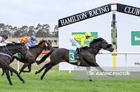Sunburnt Scores Win At Hamilton