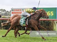 Dueastar Wins On Debut