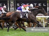 Harbour Views Returns To Claim Listed Win