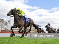 Oenology Walks In At Bendigo