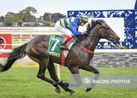 Sachem A Winner At Geelong