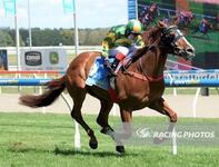 Homebred Wangoom Breaks Maiden