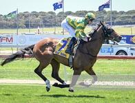 Royal Fox A Moral On Jericho Cup Day