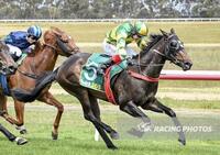 Homebred Shows Fight At Hamilton
