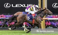 Seawhatyouthink Salutes At Flemington