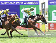 All The Way Win For Homebred Charlie's Tin