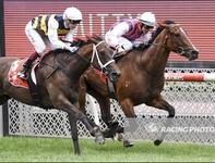 Saturday City Win For Rioyuki
