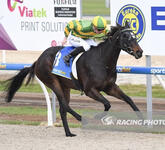 All Business For Mister Businessman In Ballarat