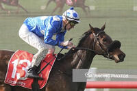 Last To First For Wrote To Arataki