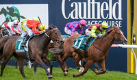 BON AURUM RETIRED