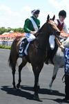 Onemorenomore Filly Pulls Off a Shock at Randwick (Breednet)