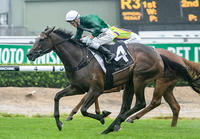 Onemorenomore's One More Honey Toughs It Out In Sweet Embrace Stakes (Breednet)