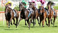 Maryore tops off huge month for Ridgeview Park Sire (TBV)
