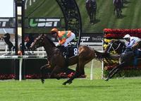 Dream Kisses Confirms Magic Millions Plans