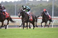 Really Reilly Wins for O'Dea and Proven Thoroughbreds