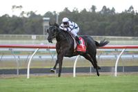 D'Harmony Wins Second Time Out For O'Dea