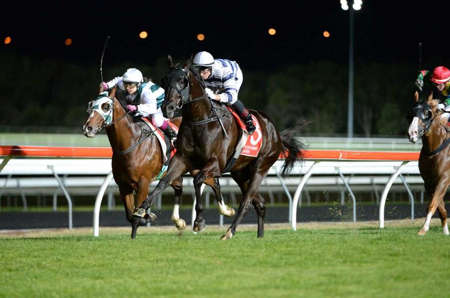 D'Harmony wins at the Sunshine Coast