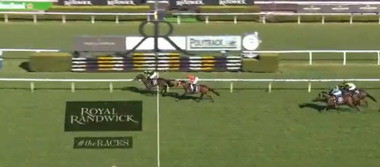 Group 2 wins caps big double for O'Dea