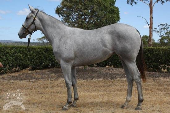 Statue Of Liberty X Bevico Girl Filly