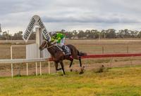 Hometown trainer Brett Thompson lands the quinella in Gulgong Cup