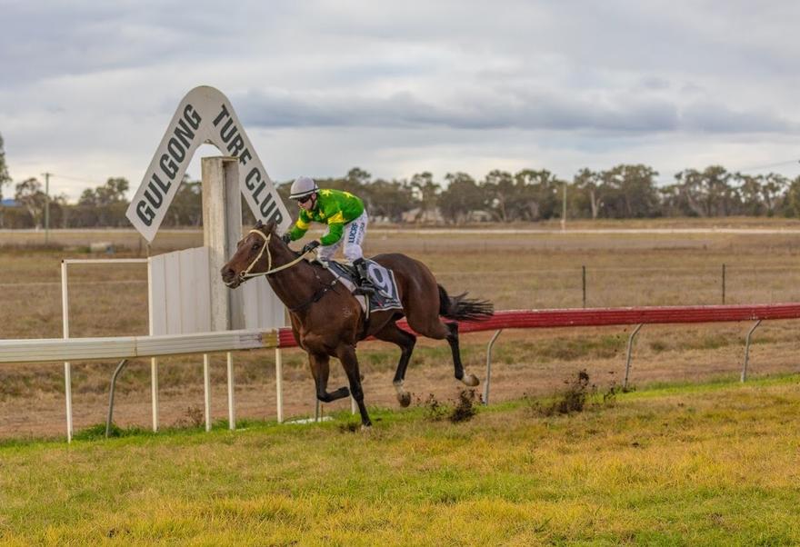 Hometown trainer Brett Thompson lands the quinella in Gulgong Cup
