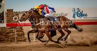 ALGEROBA in a dead heat for 1st at LOUTH races on 11th August 2018