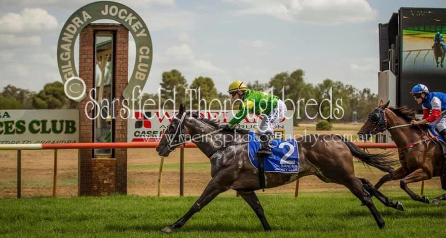 SUGAR DANCE - Gilgandra.jpg