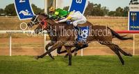 ATTALEA'S EIGTH VICTORY!