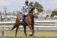 KENNETH FIRST PLACE - Tamworth Jockey Club