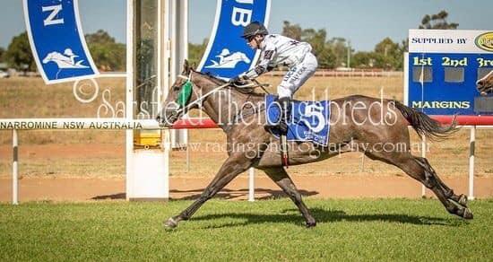 Smart Moove Narromine.jpg