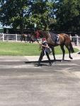 2 Runners at Northam on Thursday