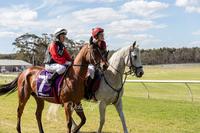 3 runners at Pinjarra