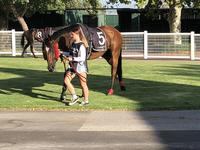 2 Runners at Albany Friday